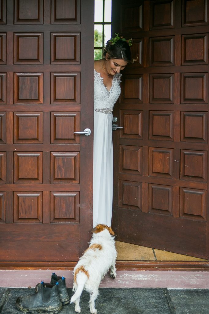 wedding dog sitter